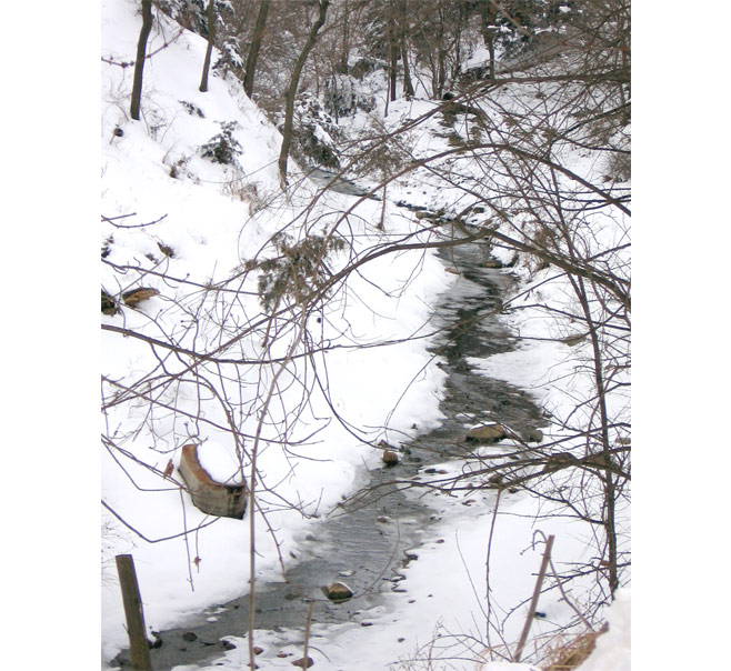 Stream