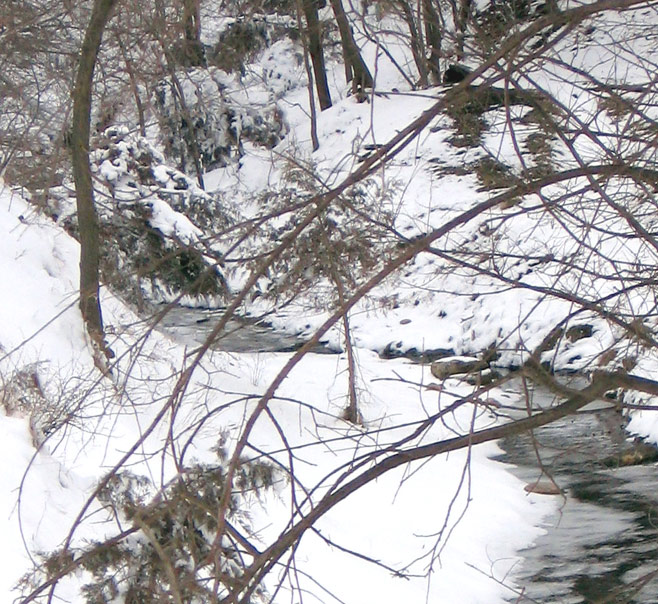 Stream