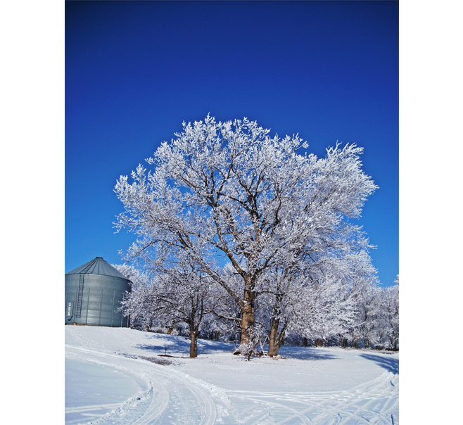 Winterwonderland